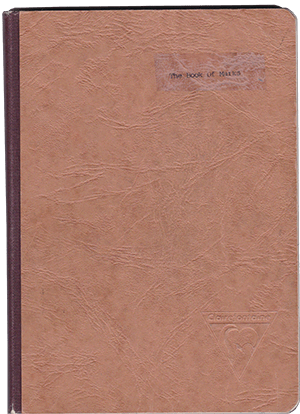 image of the book of marks cover
