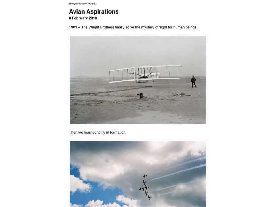 Avian Aspirations