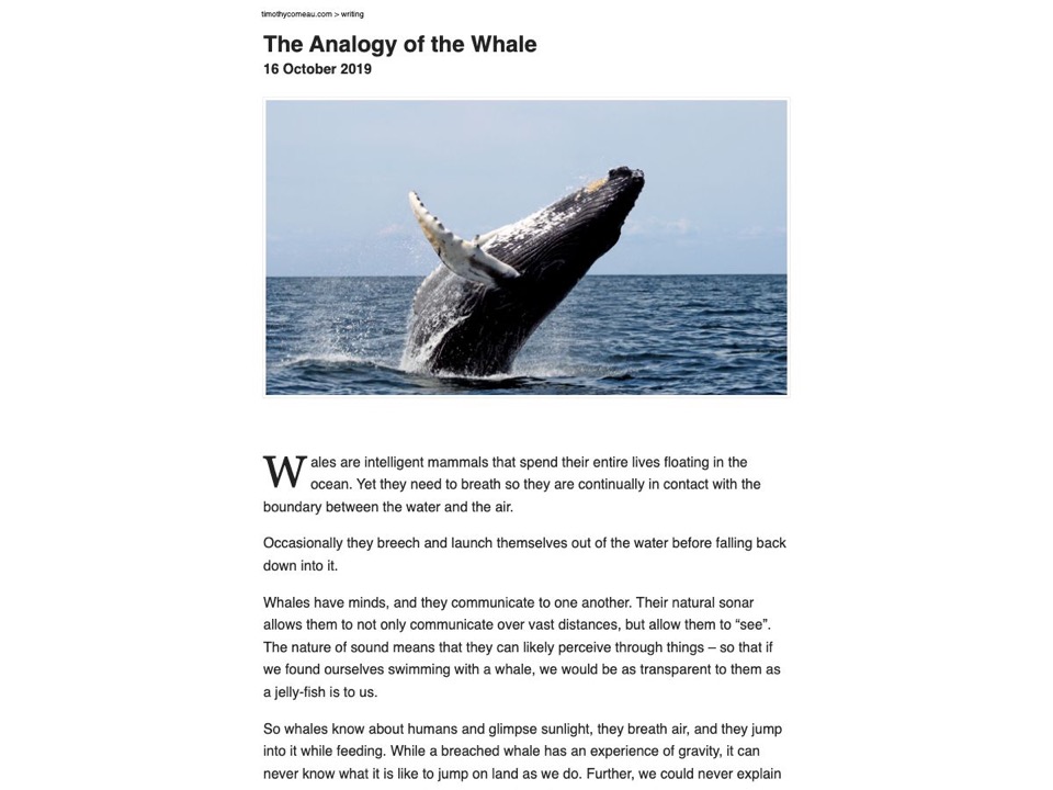 The Analogy of the Whale